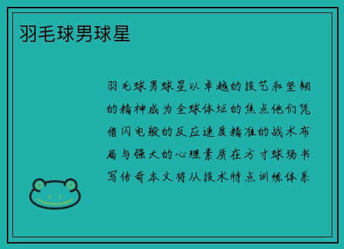羽毛球男球星