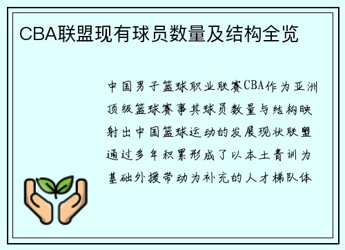 CBA联盟现有球员数量及结构全览
