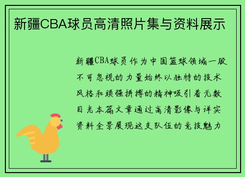新疆CBA球员高清照片集与资料展示